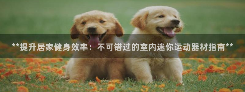意昂3娱乐首页官网下载：**提升居家健身效率：不可错