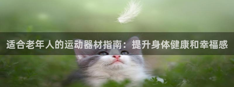 德国意昂3集团：适合老年人的运动器材指南：提升身体健