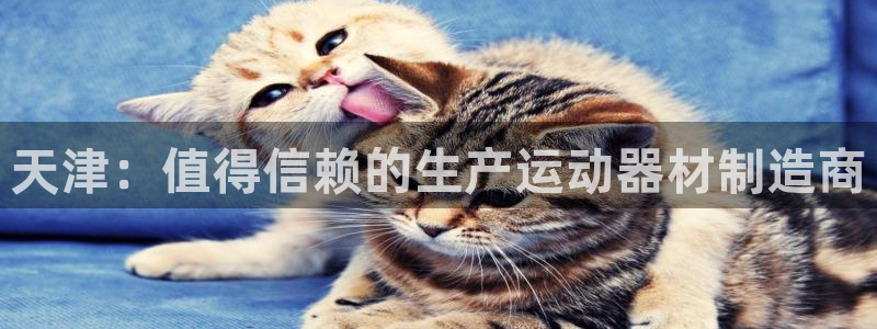 意昂体育3招商：天津：值得信赖的生产运动器材制造商
