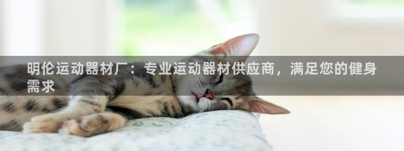 意昂3集团logo：明伦运动器材厂：专业运动器材供应
