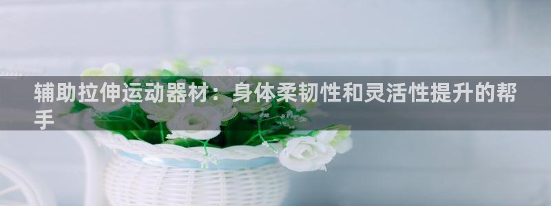 意昂3娱乐首页网站大全：辅助拉伸运动器材：身体柔韧性