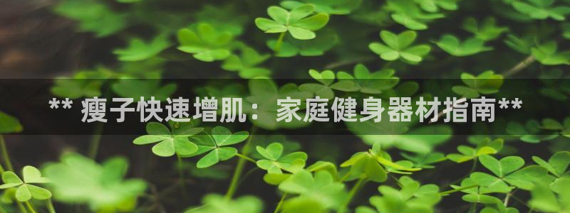 意昂体育3软件：** 瘦子快速增肌：家庭健身器材指南