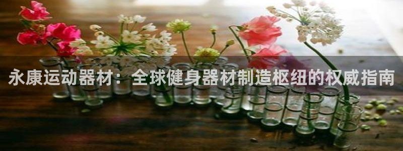 意昂体育3平台注册流程视频：永康运动器材：全球健身器