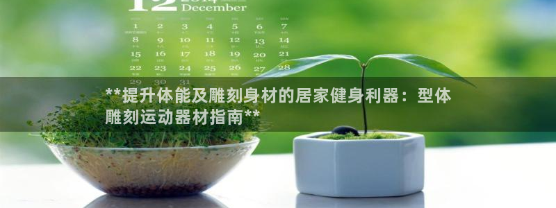 意昂3五金厂：**提升体能及雕刻身材的居家健身利器：