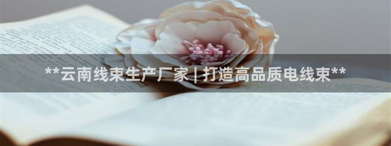 意昂体育3官方客服电话：**云南线束生产厂家 | 打