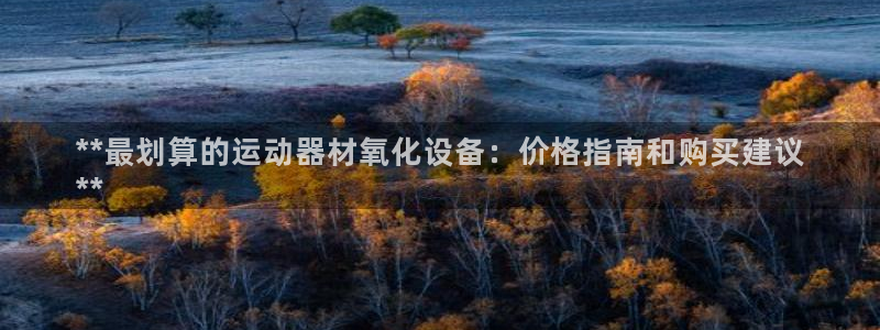 德国意昂3集团：**最划算的运动器材氧化设备：价格指
