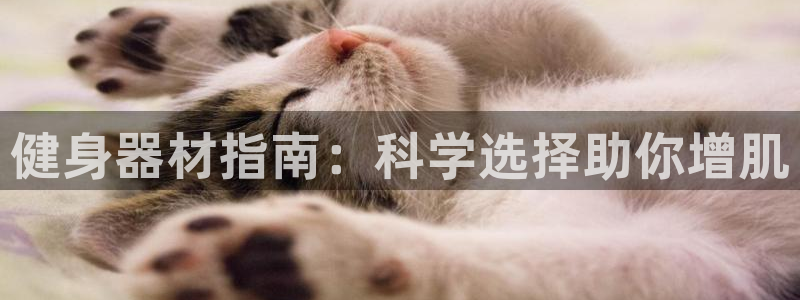 意昂3娱乐首页网站大全：健身器材指南：科学选择助你增