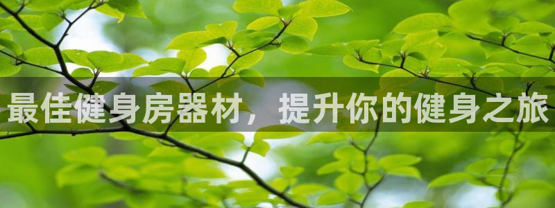 意昂体育3招商：最佳健身房器材，提升你的健身之旅