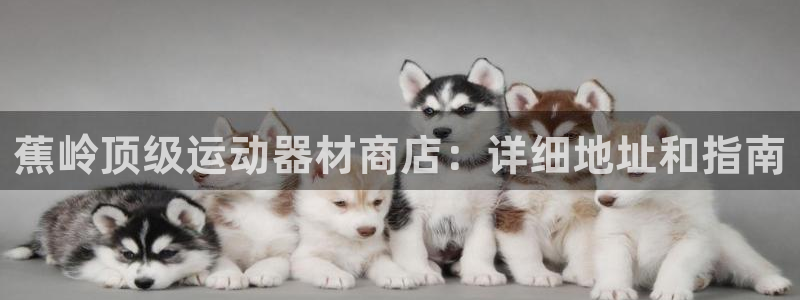 意昂3新能源：蕉岭顶级运动器材商店：详细地址和指南