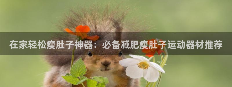 意昂3集团logo：在家轻松瘦肚子神器：必备减肥瘦肚