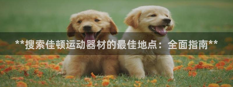 意昂体育3是干嘛的公司：**搜索佳顿运动器材的最佳地