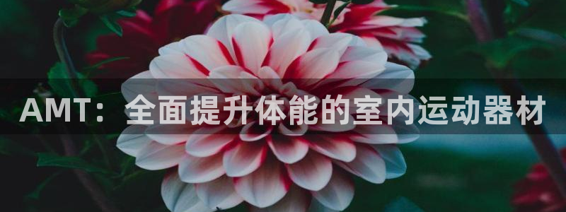意昂体育3招商电话是多少：AMT：全面提升体能的室内