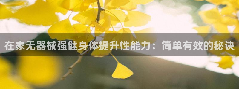 意昂体育3是干嘛的公司：在家无器械强健身体提升性能力