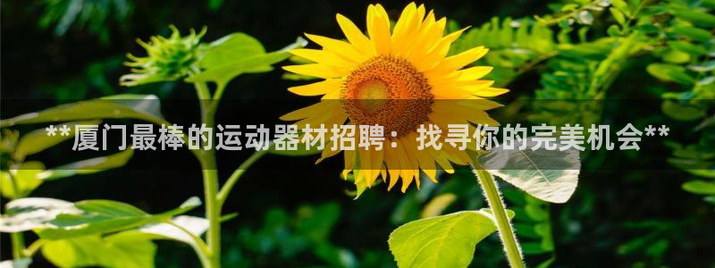 意昂3娱乐：**厦门最棒的运动器材招聘：找寻你的完美