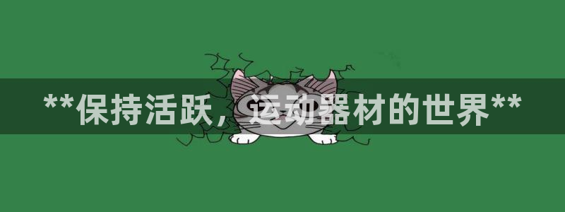 意昂体育3招商：**保持活跃，运动器材的世界**