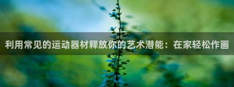 意昂体育3招商电话号码：利用常见的运动器材释放你的艺