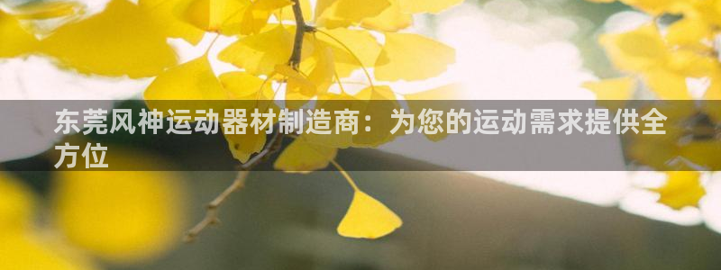 意昂体育3：东莞风神运动器材制造商：为您的运动需求提