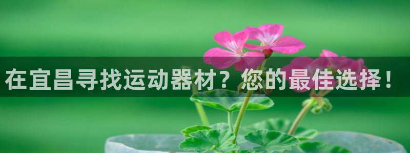 德国意昂3集团：在宜昌寻找运动器材？您的最佳选择！