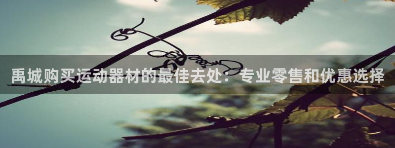 意昂体育3招商电话地址是多少：禹城购买运动器材的最佳