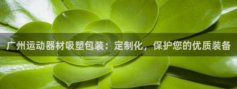 意昂体育3联系电话：广州运动器材吸塑包装：定制化，保