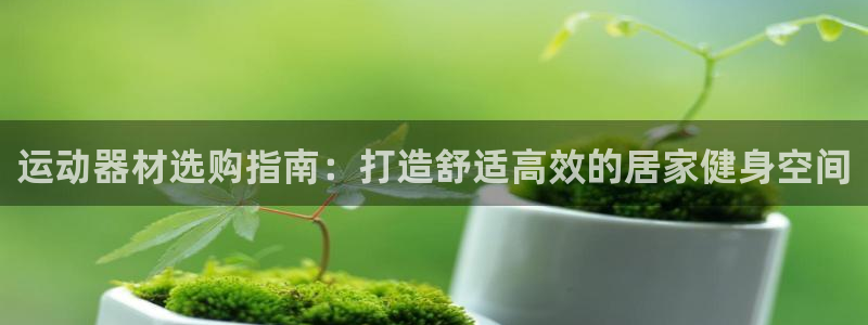 意昂3神州：运动器材选购指南：打造舒适高效的居家健身