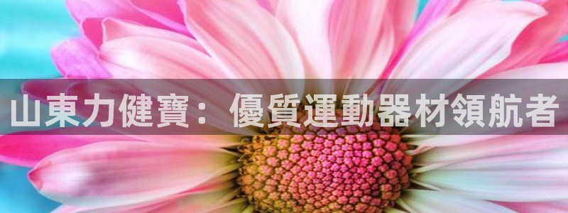 意昂体育3招商电话号码是多少：山東力健寶：優質運動器