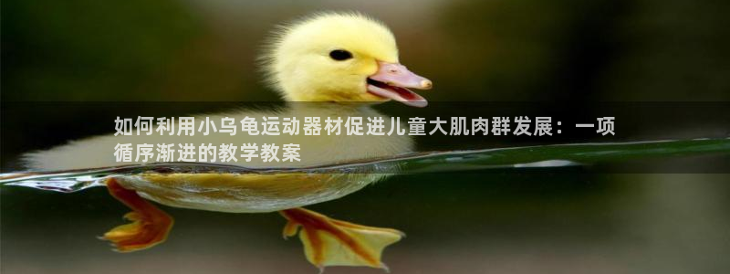意昂体育3平台假的吗是真的吗：如何利用小乌龟运动器材