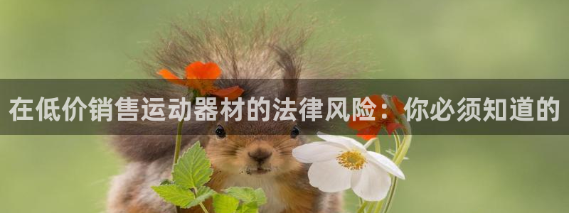 意昂体育3注册：在低价销售运动器材的法律风险：你必须知道的