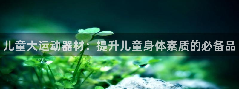 意昂体育3软件：儿童大运动器材：提升儿童身体素质的必