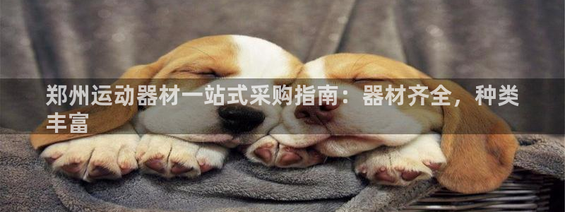 意昂体育3平台是正规平台吗知乎：郑州运动器材一站式采购指南：