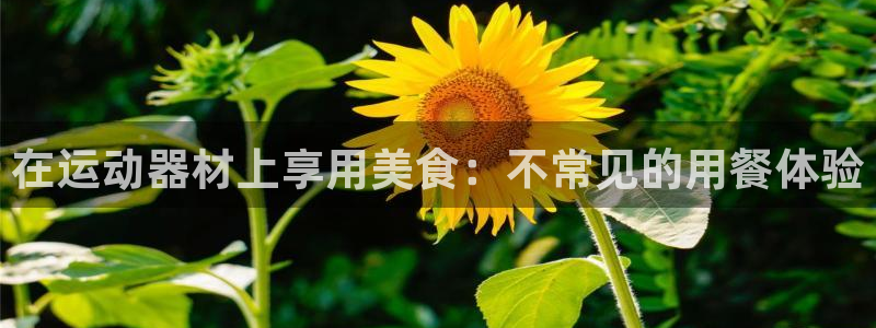 意昂3集团官网首页网址：在运动器材上享用美食：不常见