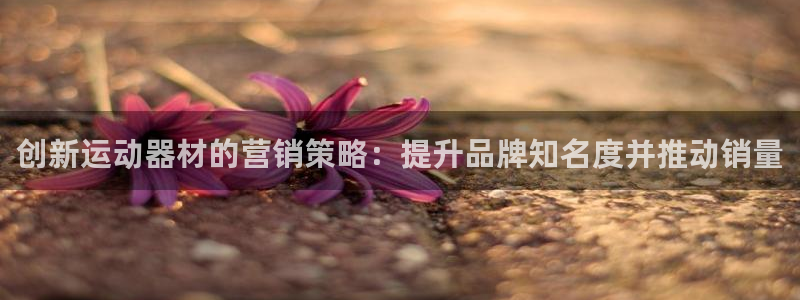 意昂平台体育：创新运动器材的营销策略：提升品牌知名度并推动销