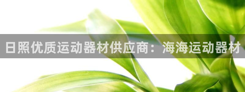 意昂3集团logo：日照优质运动器材供应商：海海运动