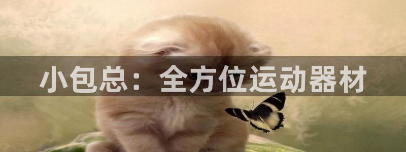 意昂体育3联系电话