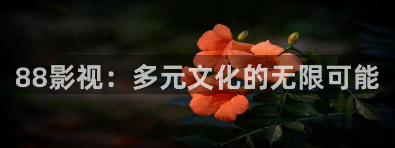 私人汤姆影院：88影视：多元文化的无限可能