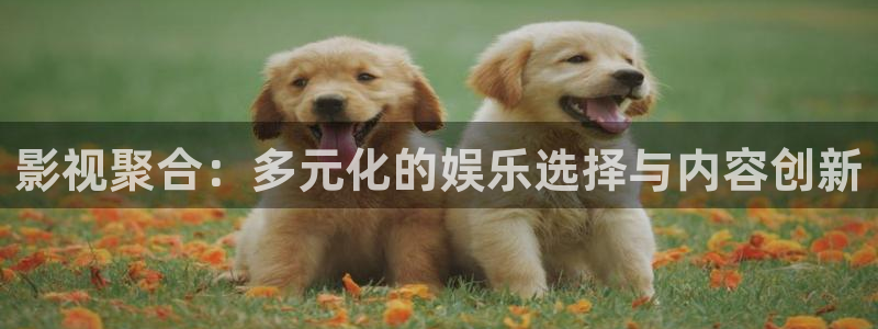 汤姆视频影院：影视聚合：多元化的娱乐选择与内容创新