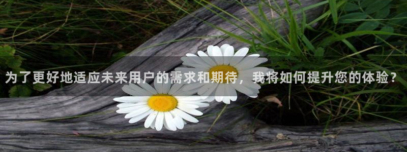 汤姆猫影院入口：为了更好地适应未来用户的需求和期待，我将如何提升您的体验？