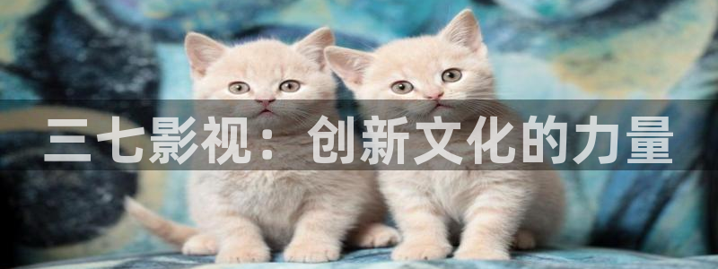汤姆影院t：三七影视：创新文化的力量