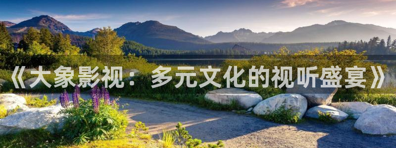 汤姆影视在线免费观看：《大象影视：多元文化的视听盛宴》