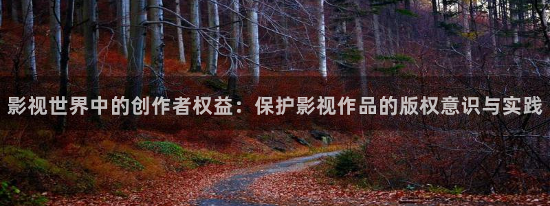 汤姆高清影院官网：影视世界中的创作者权益：保护影视作品的版权意识与实践