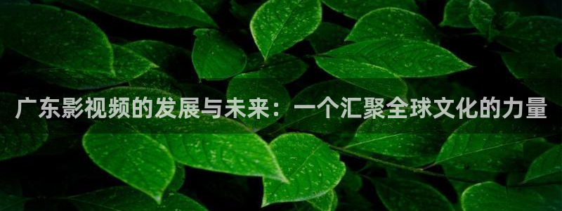 汤姆猫私人影院：广东影视频的发展与未来：一个汇聚全球文化的力量